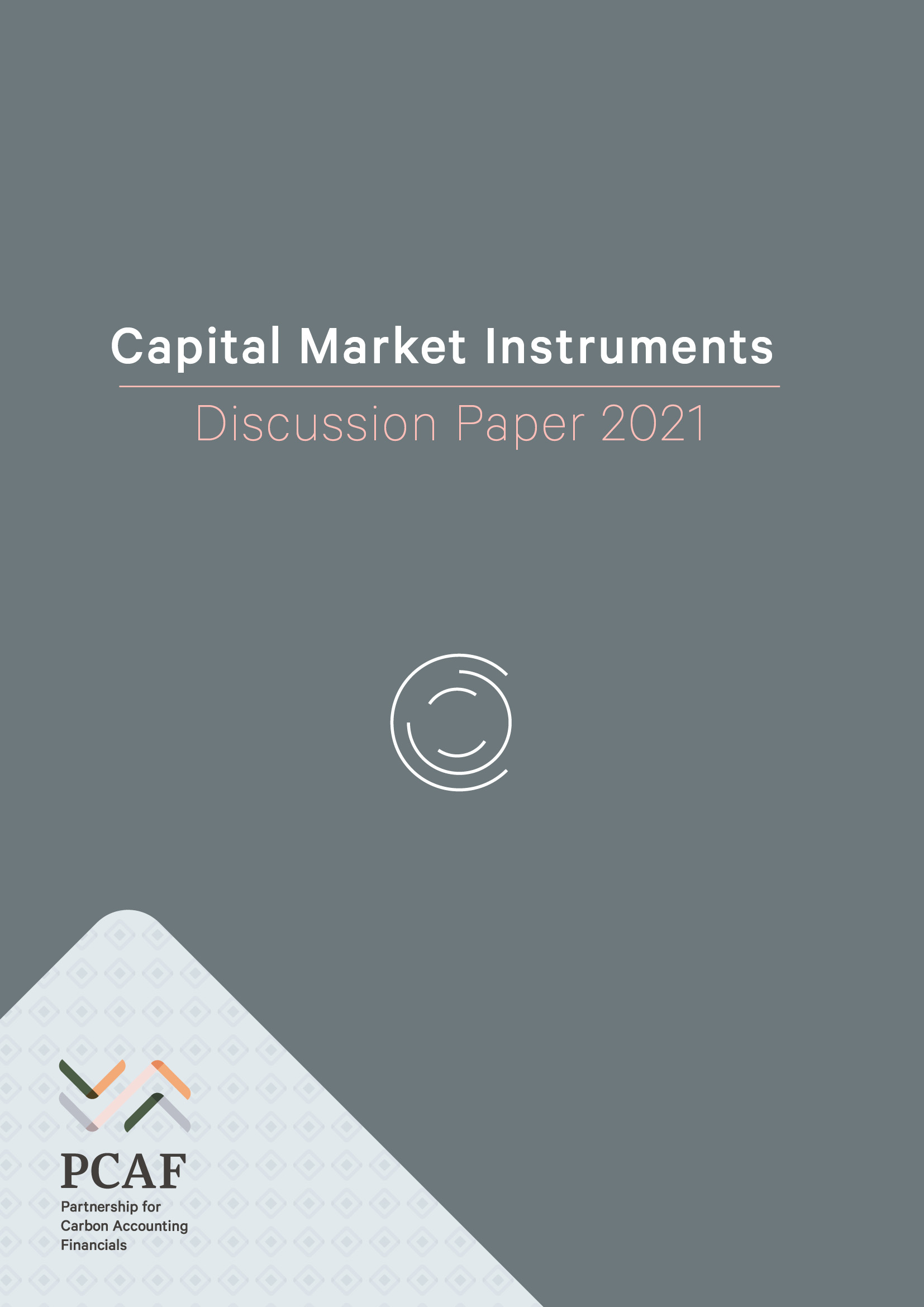Discussion paper on capital market instruments cover page